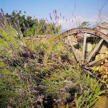 Hotel Castello San Giuseppe - Historical