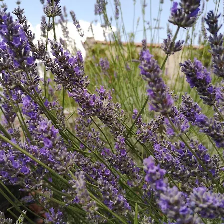 Castello San Giuseppe - Historical